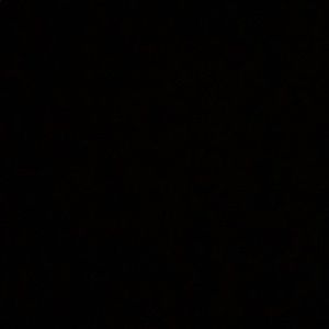 Meet your Posher, Lilly